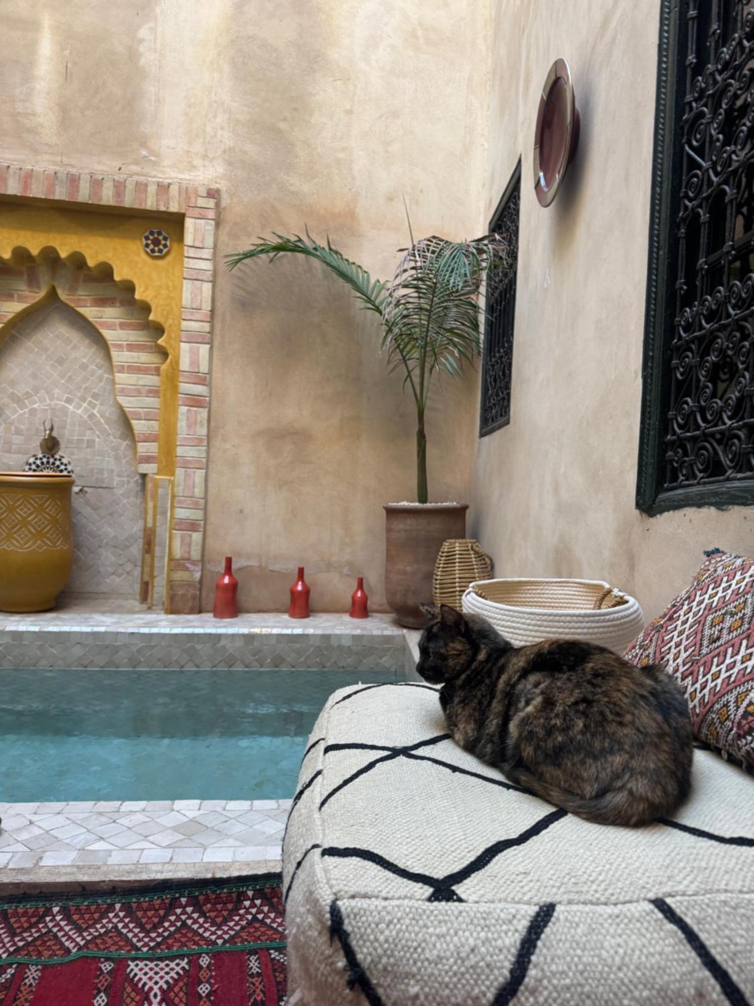 Riad Paquerette マラケシュ エクステリア 写真